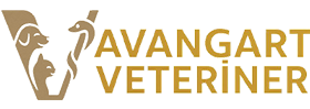 biVet